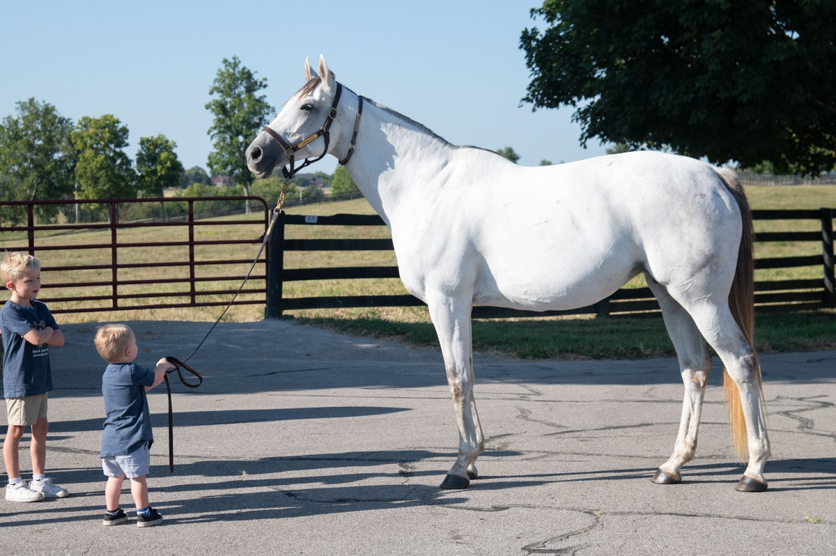 TED NOFFEY’s dam, STREAK OF LUCK, soaking up some extra love from Katie Taylor’s kids this past week! 🐴 💫 #TaylorMadeFarm <a href="/spendthriftfarm/">Spendthrift Farm</a>