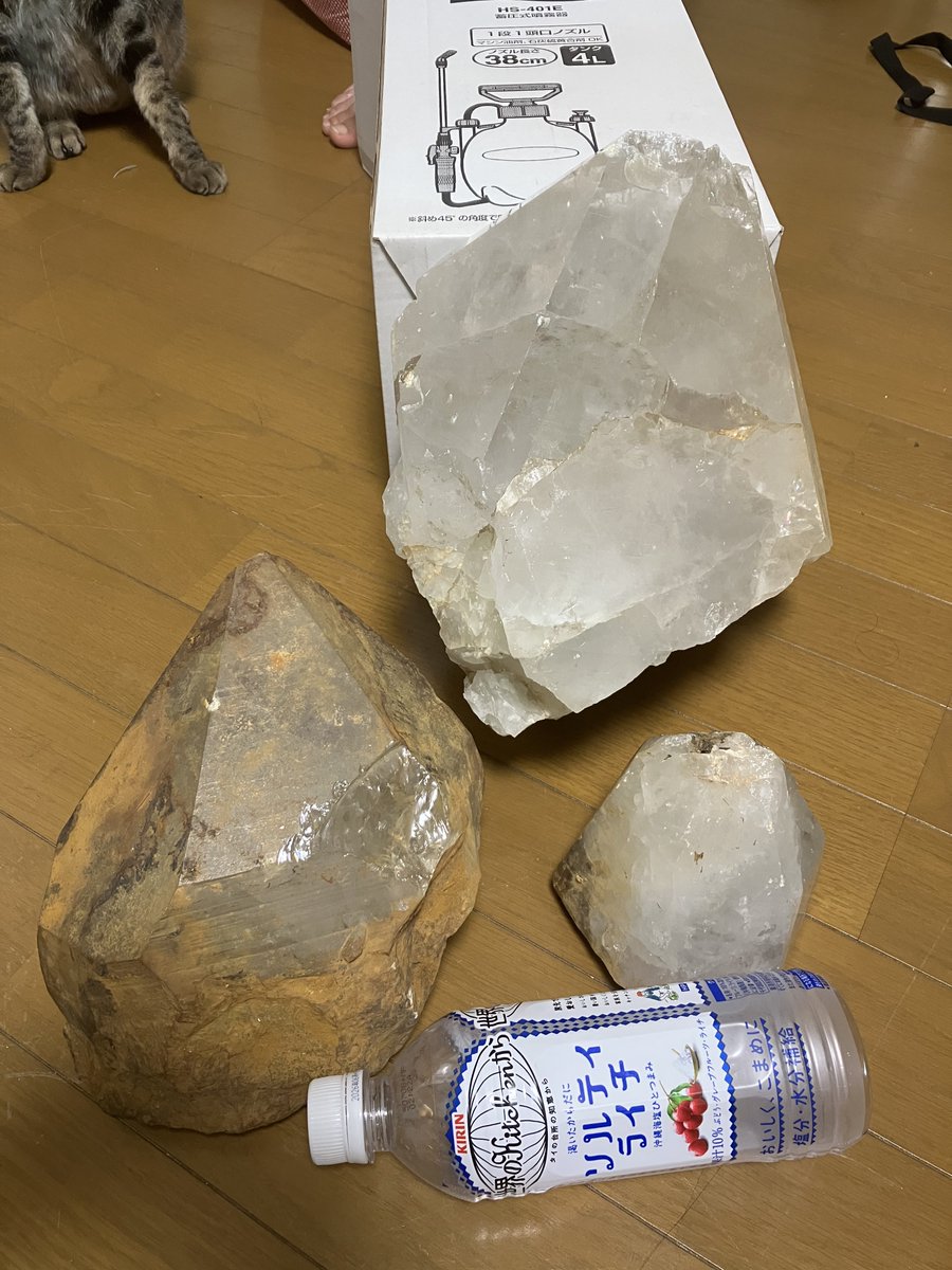 #クオーツの日

あんま水晶取りに行かないのに何故か我が家に来るデカ水晶たち