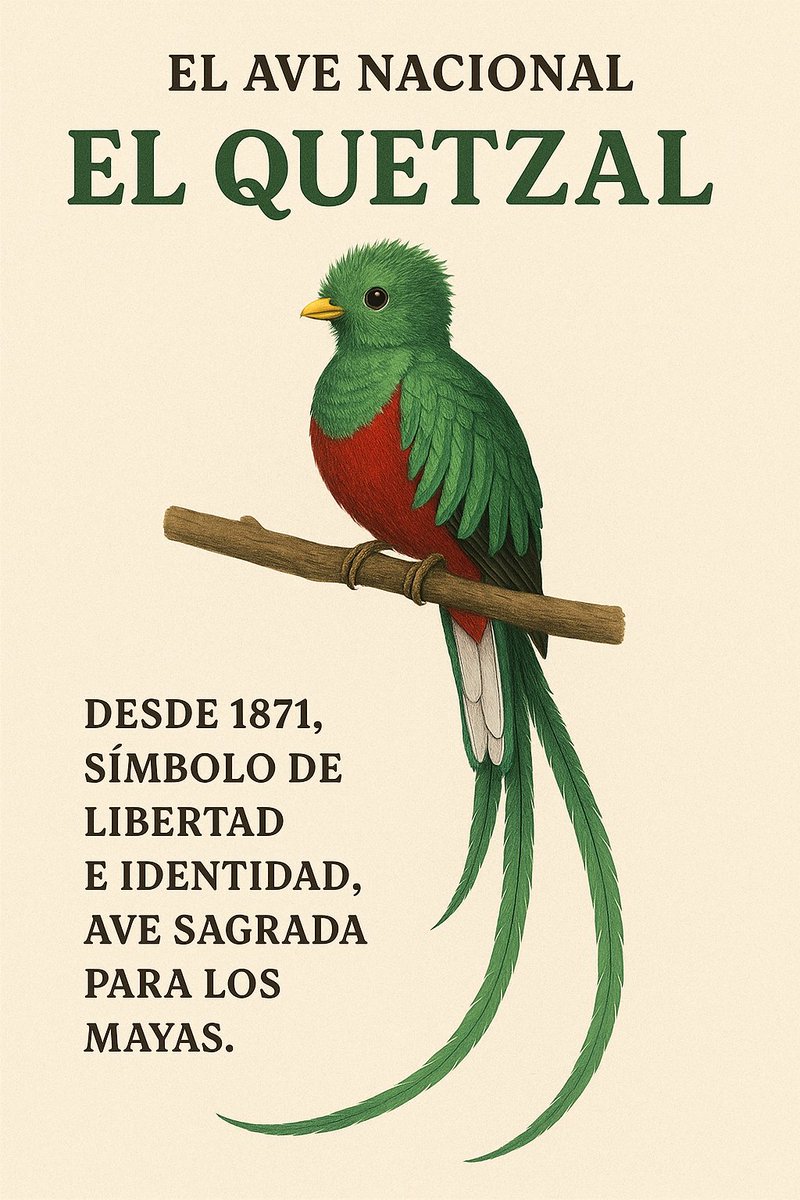 Nuestros Símbolos Patrios:
Orgullo de Guatemala ✨🇬🇹