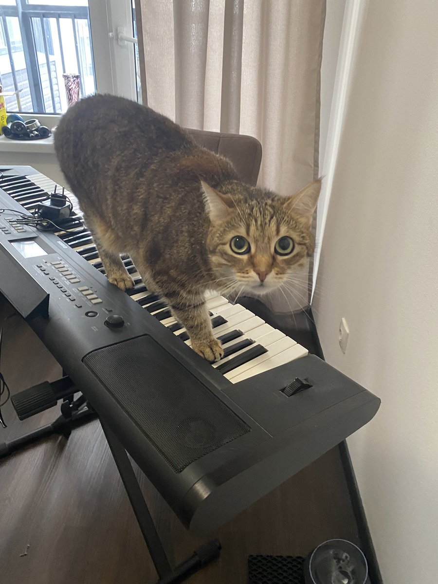 на этой ноте ты идешь нахуй