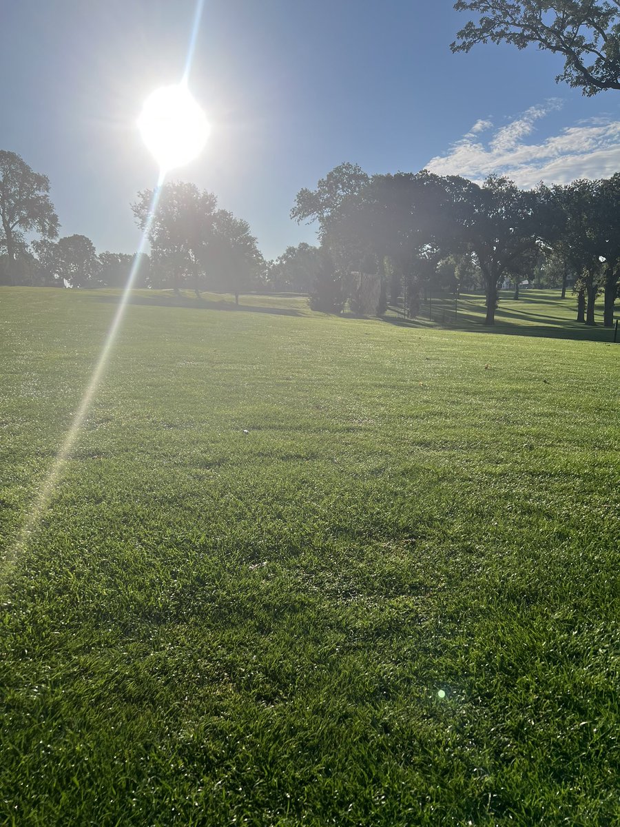 Mowers and blowers will be busy as we try to catch up from Labor Day weekend.  With the rain (1.25”) we couldn’t get on fairways and it’s showing this morning!   First soaking rain in quite a while, so we’ll gladly take this problem!