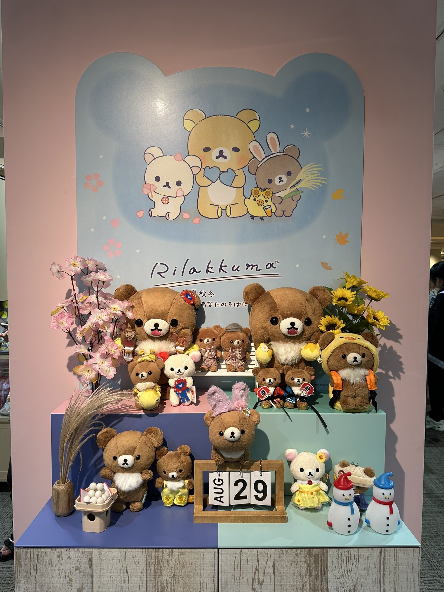くまきち(はーこ) on X: 