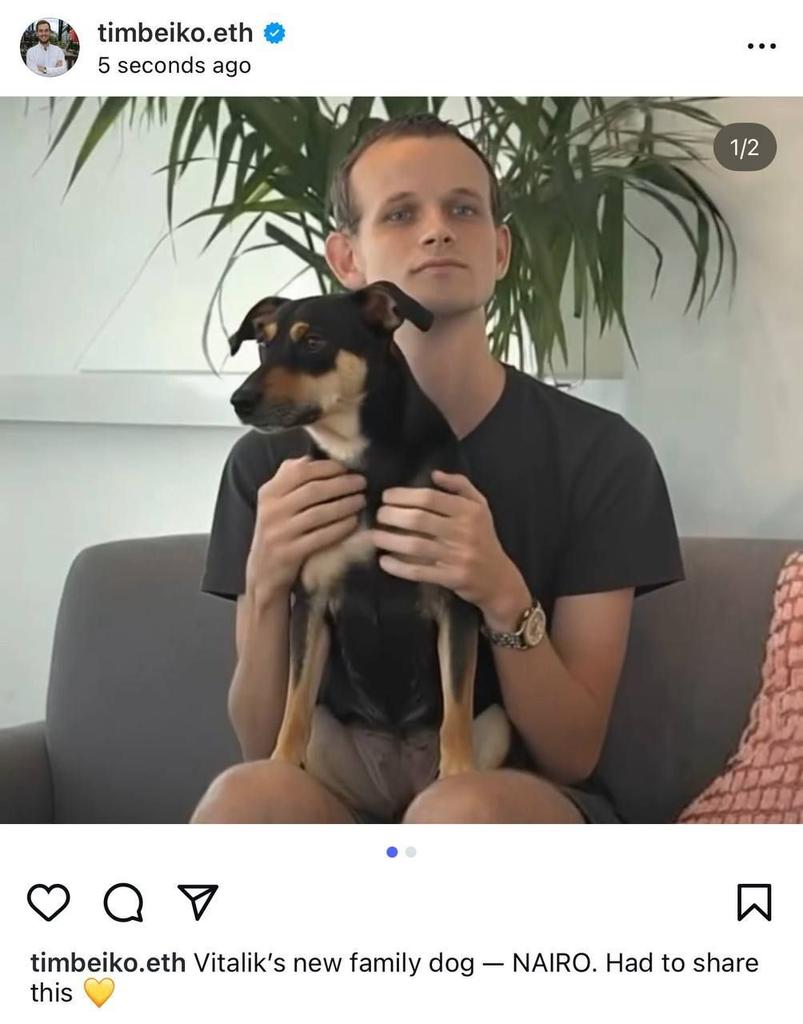 NairoCoinEth's tweet image. $NAIRO IS LIVE.

Vitalik's new Family Dog.

CA: 0xBe90CeE7Fb61a8900396FD5D8A0719Fea45b8e9F

1. instagram.com/p/DN8cQjHiB80/…
2. instagram.com/p/DMBZGN6Ry2y/…
3. instagram.com/p/DNwcK8dYpbh/…