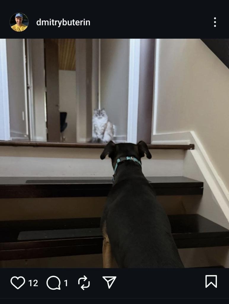 NairoCoinEth's tweet image. $NAIRO IS LIVE.

Vitalik's new Family Dog.

CA: 0xBe90CeE7Fb61a8900396FD5D8A0719Fea45b8e9F

1. instagram.com/p/DN8cQjHiB80/…
2. instagram.com/p/DMBZGN6Ry2y/…
3. instagram.com/p/DNwcK8dYpbh/…