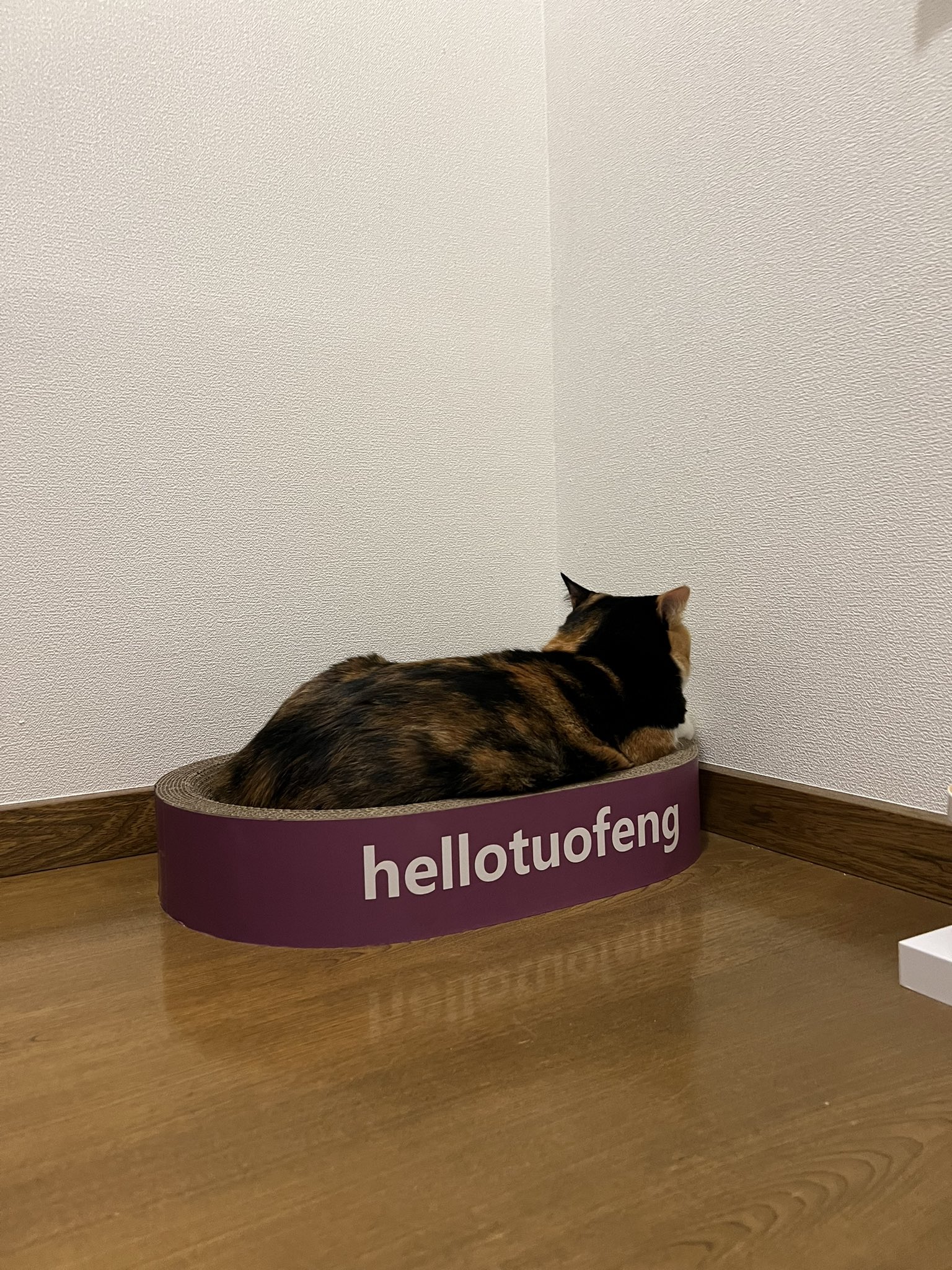 三毛猫♡ おねだり三毛猫｜WooBia公式オンラインショップ – WooBia