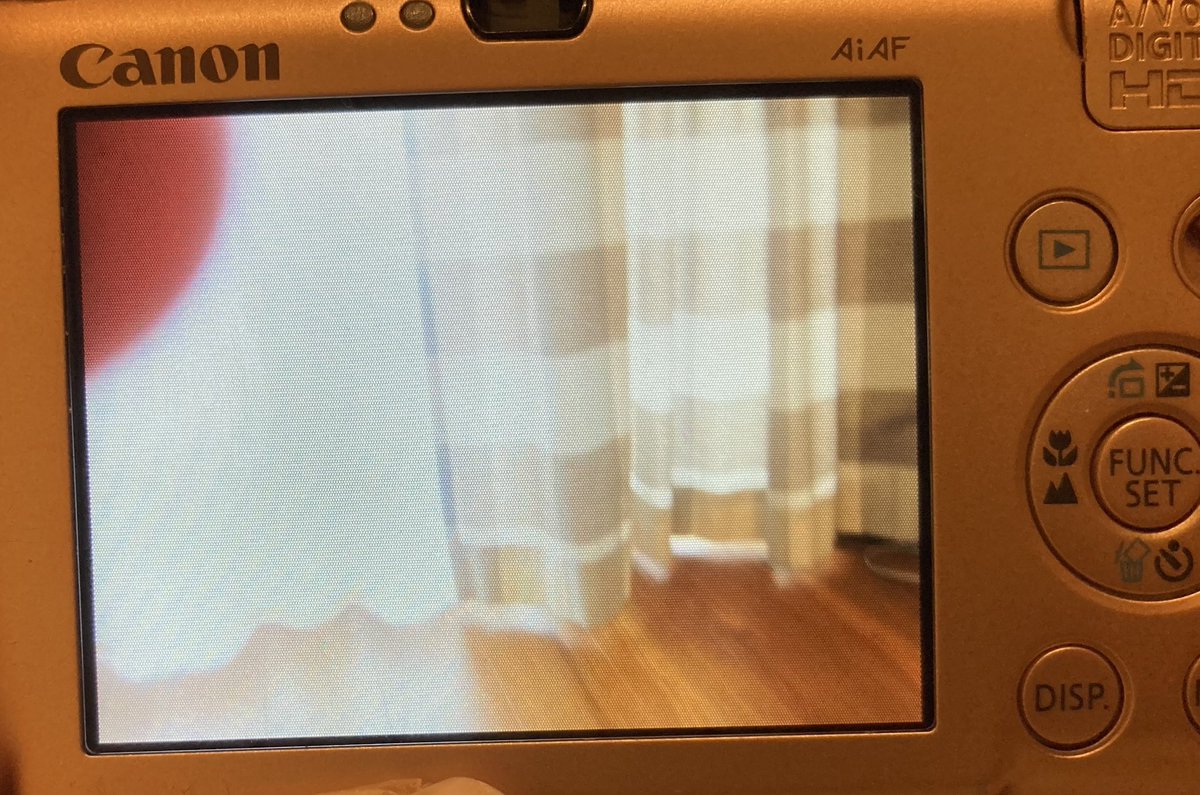 昔のデジカメを息子に渡したら楽しんで撮ってくれてて、ピンボケばっかりだけどとてもエモい。CanonのIXYだよ。わかるか？平成ガチババア。WiFiで転送するなんてモンはない。