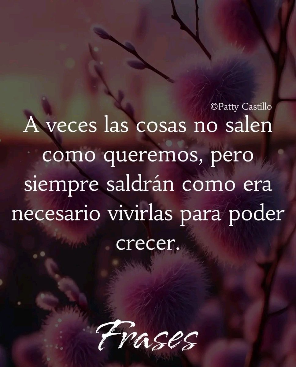 Jose David tweet media