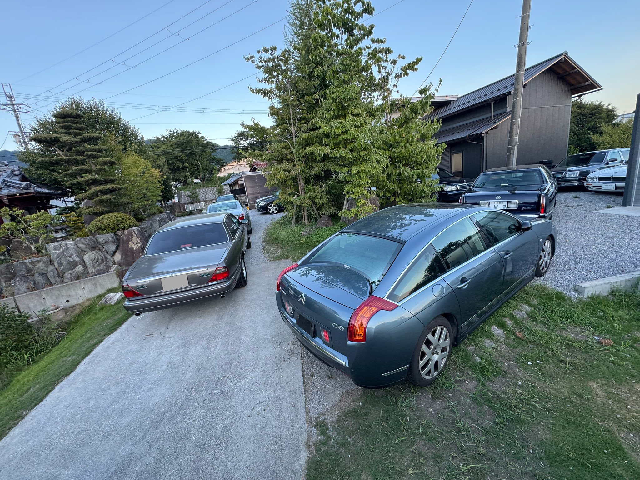 こーば (@Tc24V) / X