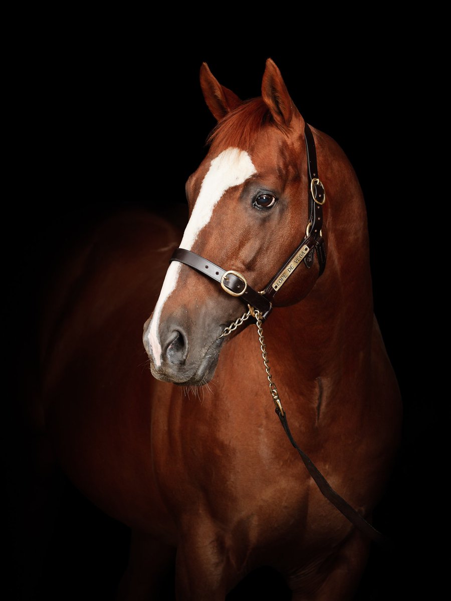 BallylinchStud tweet media