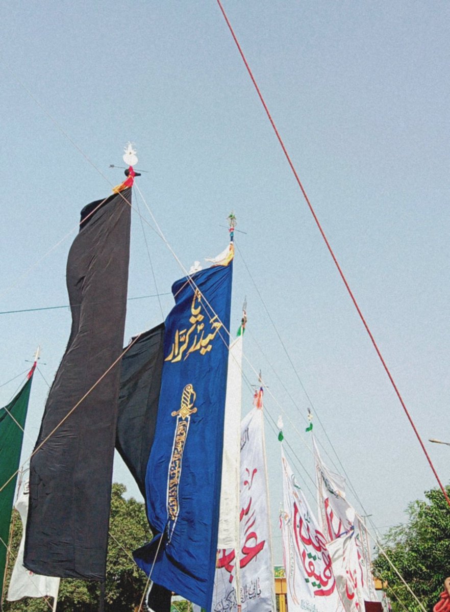 If we live to see the next year, we will gather again, because we made a promise to bibi Fatima(sa) that her Hussain(as) will never be forgotten.❤️