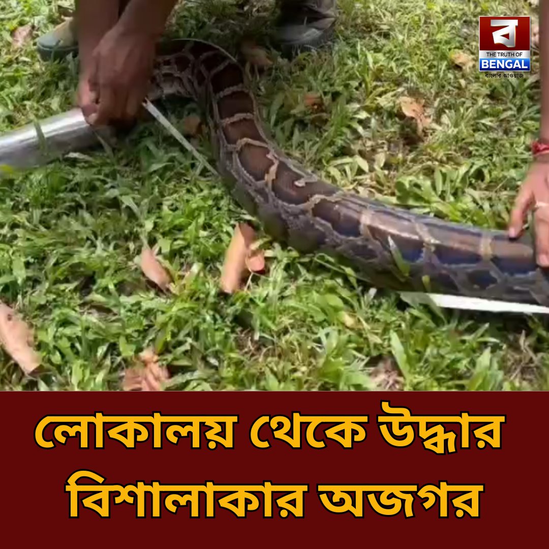 DigitalTob's tweet image. truthofbengal.com/west-bengal-ne…

#PythonRescue #Wildlife #SnakeRescue #Maynaguri #truthofbengal