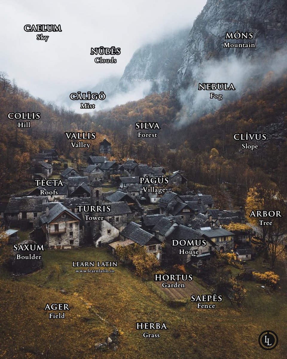 This right here is the best way to learn Latin vocabulary. Let me know if you enjoy these, and I’ll make more!