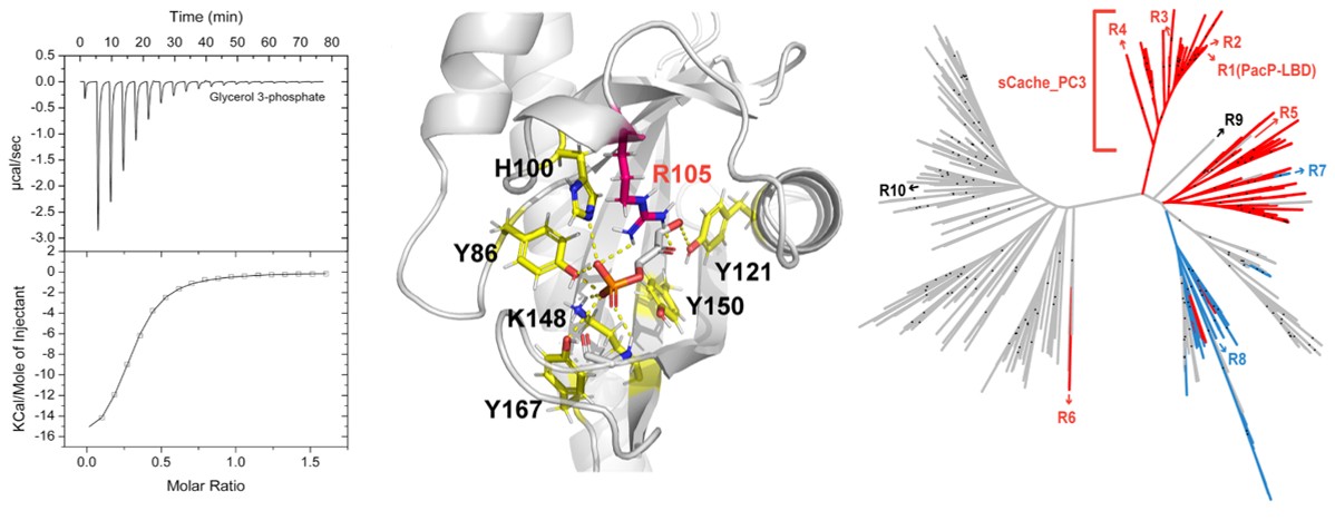 Miguel_Matilla tweet media
