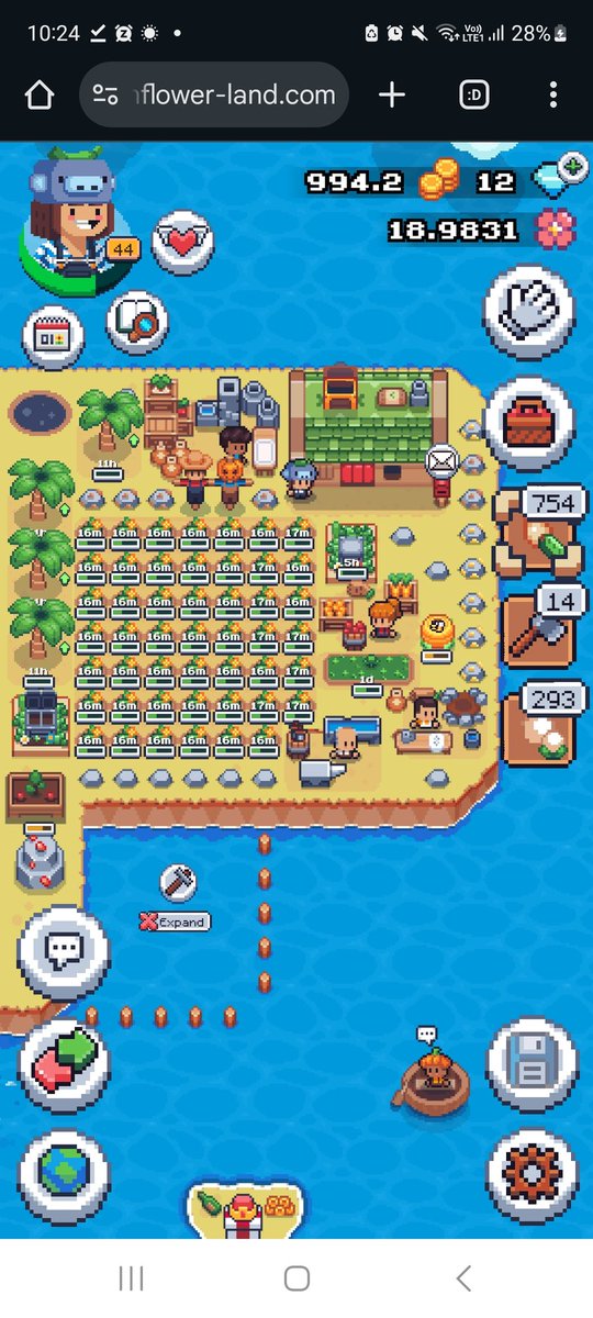 #SunflowerLandFarm