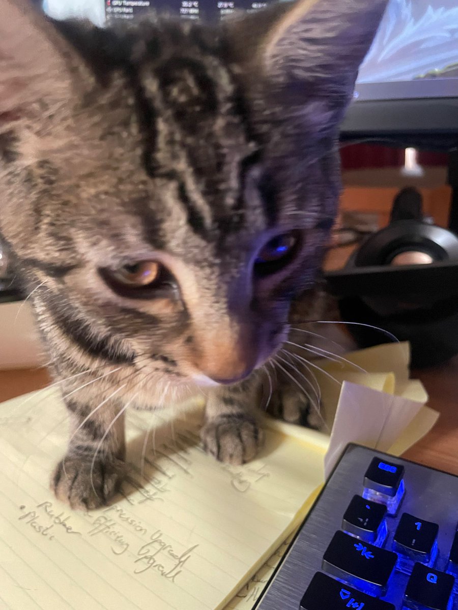 nickluckham's tweet image. This one will not let me work today.