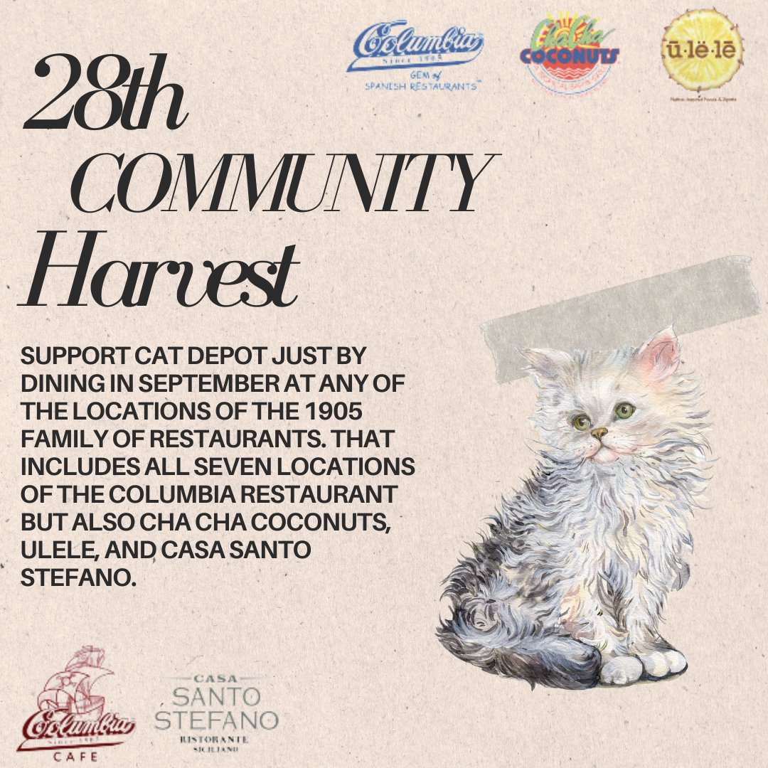 Cat Depot tweet media