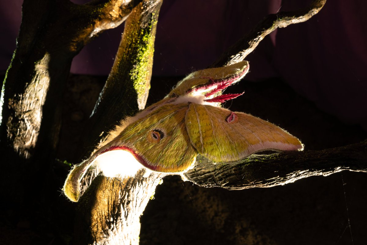 Hidden Door tweet media