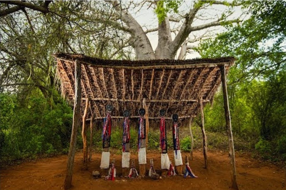 A vigango is a carved wooden post honoring Mijikenda elders. Found in Kaya Kauma forest, these sacred memorials hold ancestral spirits and are part of UNESCO-listed heritage.

#VigangoShrine #KayaKauma #MijikendaHeritage