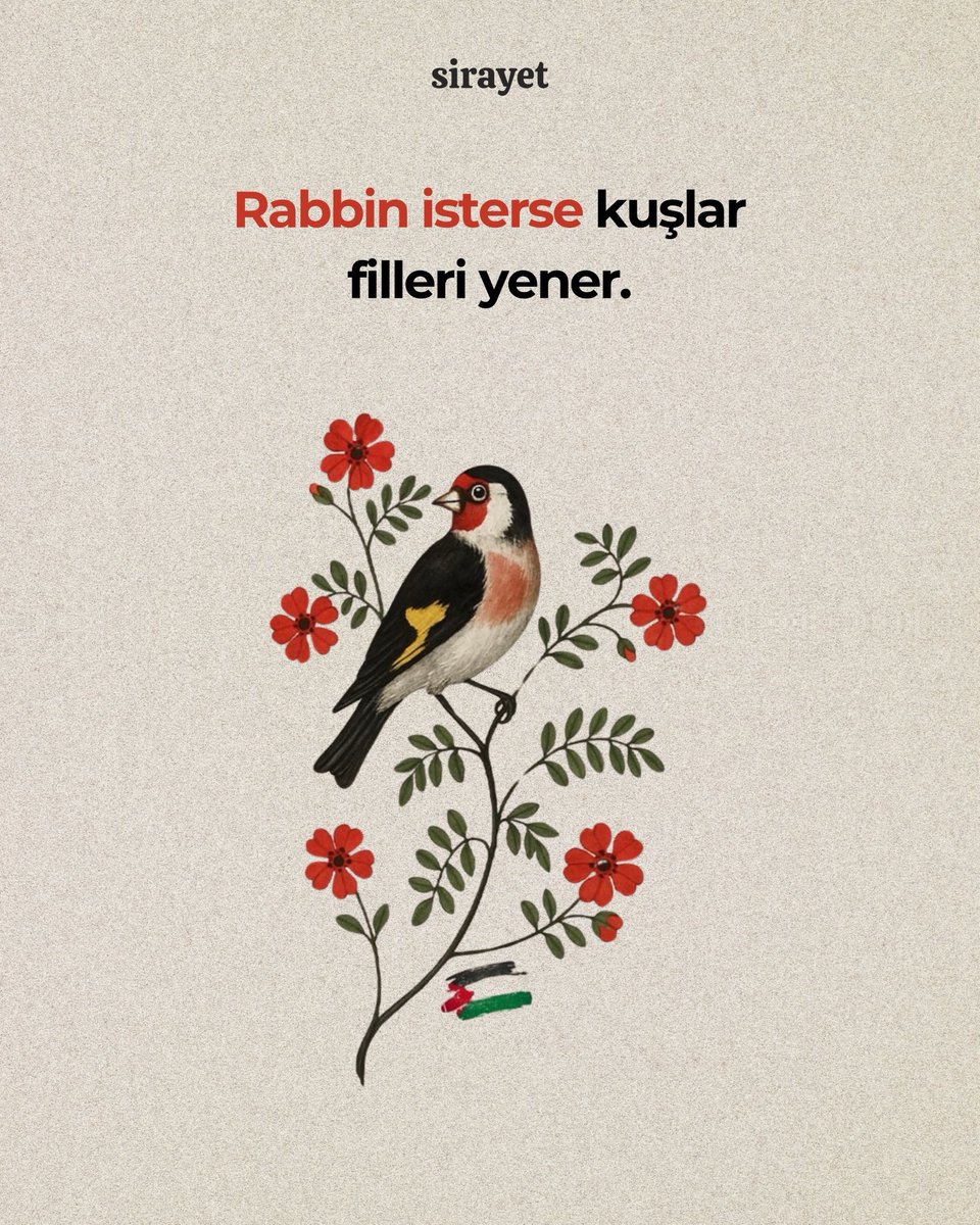 sirayet (@sirayyet) on Twitter photo 