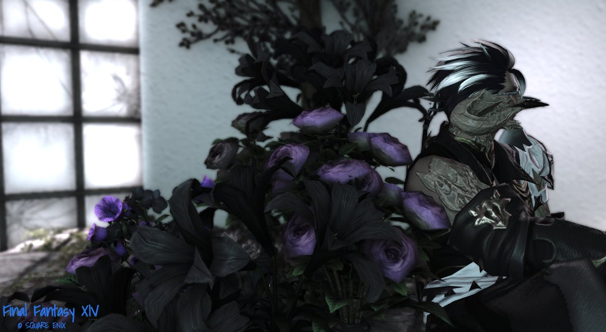 #オスラ横顔名鑑

どちらも再掲にて失礼します。