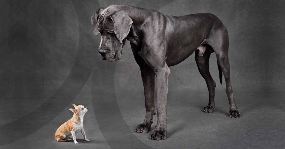 Diamond Consultants tweet media