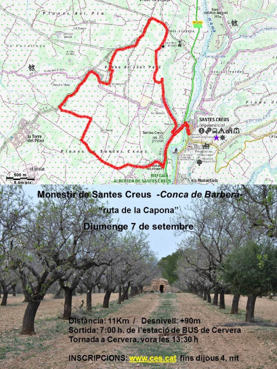 Diumenge 7/Setembre: Santes Creus -Conca de Barberà-
instagram.com/p/DOGi1xJCKdv/…