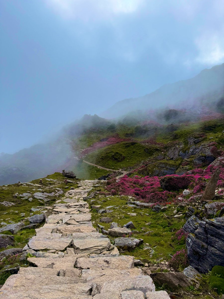 peris_rai's tweet photo. monsoon trek 😍 https://t.co/D38z1VAGy1