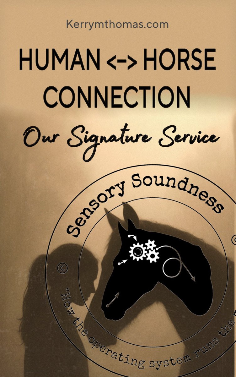 Every horse-human bond tells a story...  kerrymthomas.com/human-horse-co… #beyondthehoof #horseandhuman