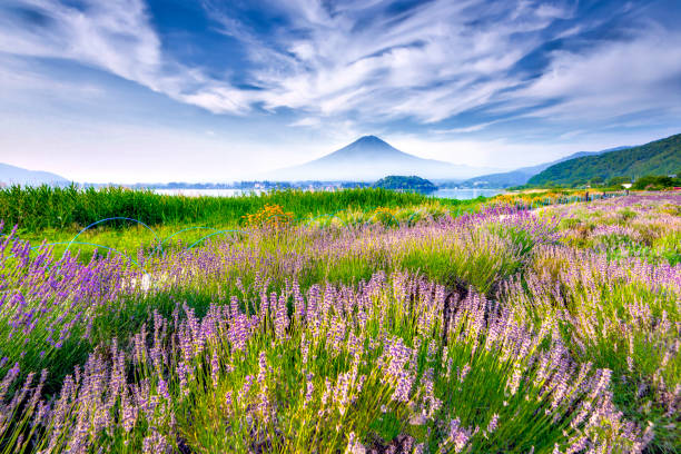 أحب المطر، لأن كل قطرة منه تقول "فيه رحمة" ☔ #مطر

#ليان_المرخان_محاربه_السرطان

#الحلم_واقع_مع_رسيس