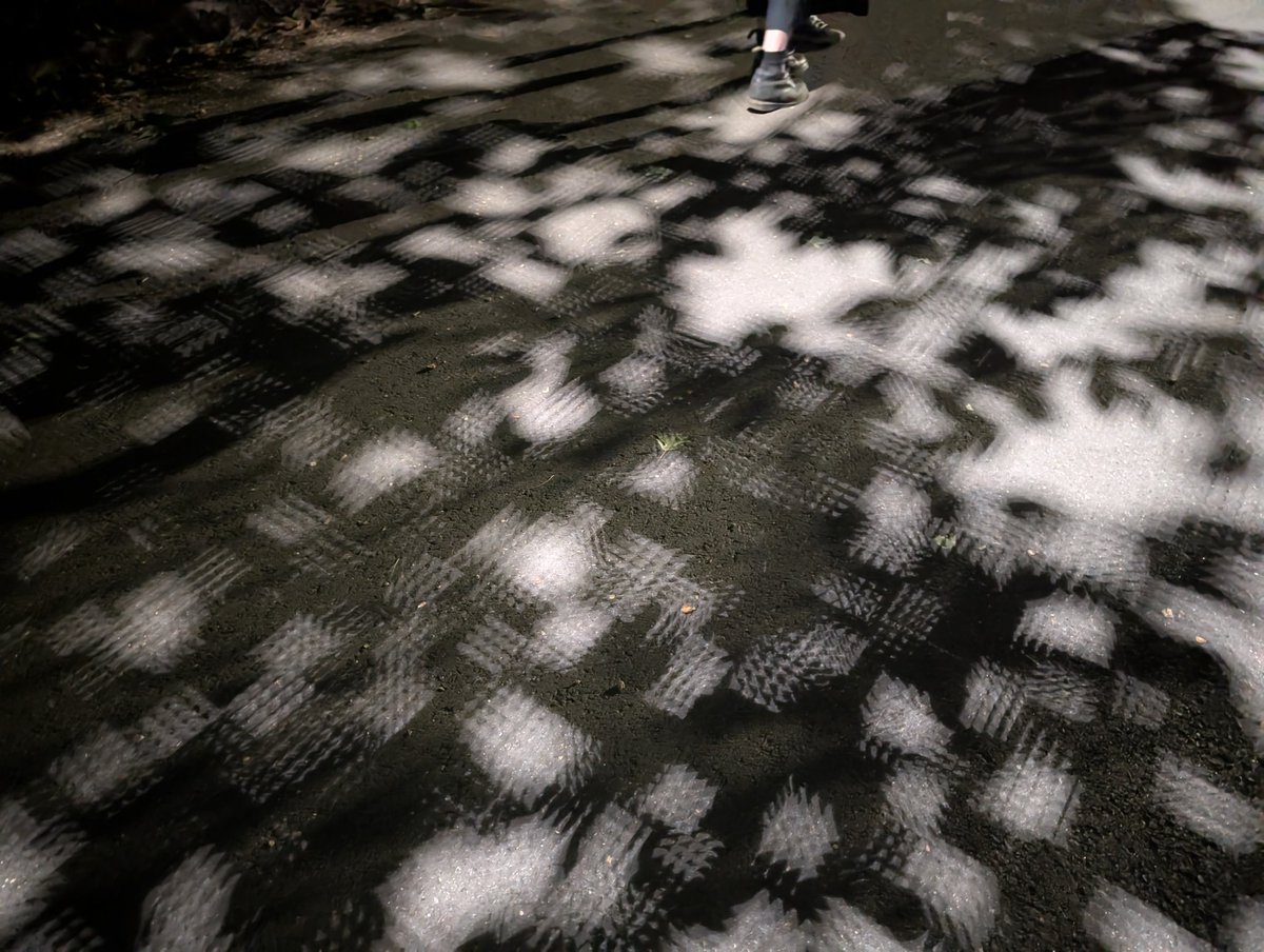 Mom help they turned down the raytracing in my adult playground sim