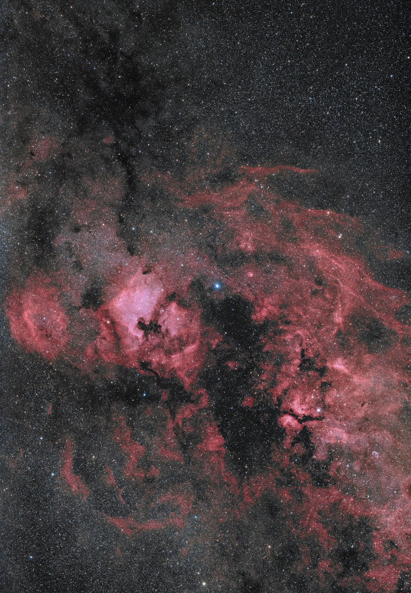 1/4 J’ai toujours été fasciné par Deneb et son nom ténébreux, qui luît l’été au cœur de la Voie lactée. Cette supergéante bleue est l’une des étoiles les plus lointaines visibles à l’œil nu, à plus de 1500 années-lumière d’ici, même si personne ne connait sa distance exacte.