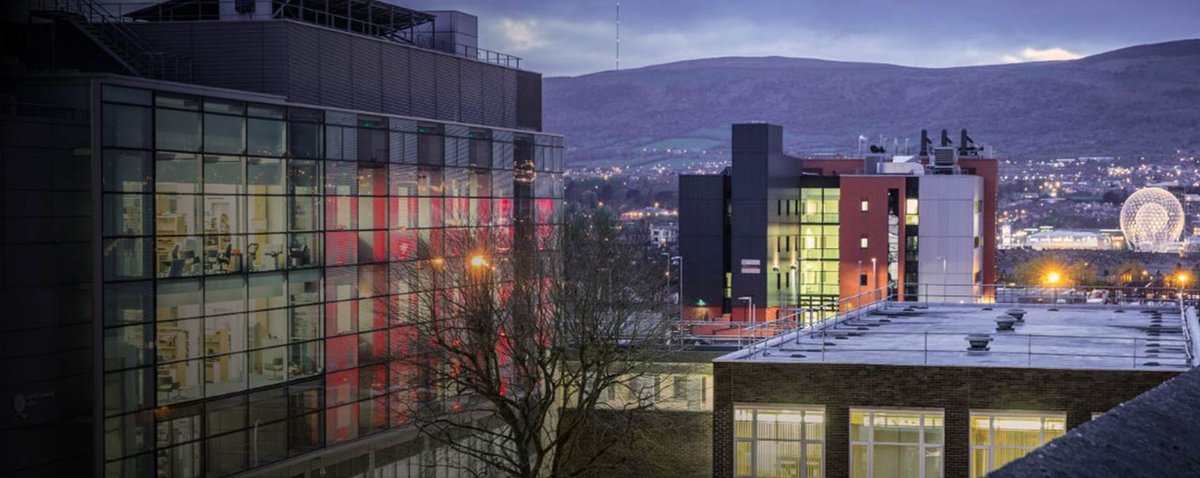 Gerard Walls tweet media