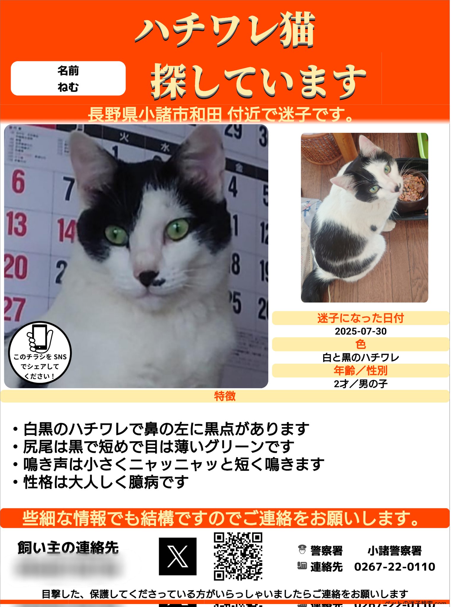 釣本直紀サイン色紙 釣本直紀サイン色紙