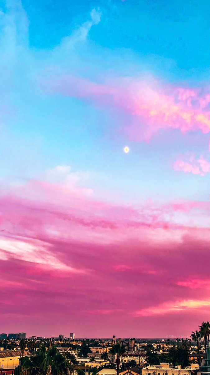 Tatyana Spark (@tatyanaspark_) on Twitter photo 