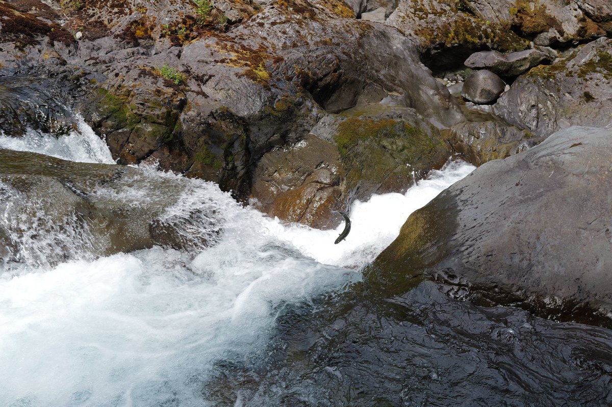 The greatest risk isn’t making the wrong decision—it’s refusing to make one at all. Indecision is decay. Indecision means your decision is determined by another.