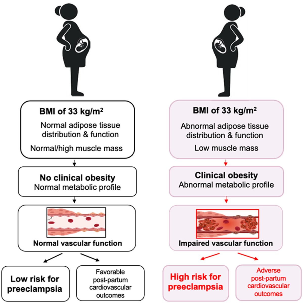 HyperAHA's tweet image. EDITORIAL: Is Body Mass Index a Predictor of Preeclampsia?

ahajrnls.org/3JIpAJx