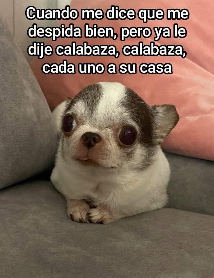 el jeringas (@eljeringasloko) on Twitter photo 