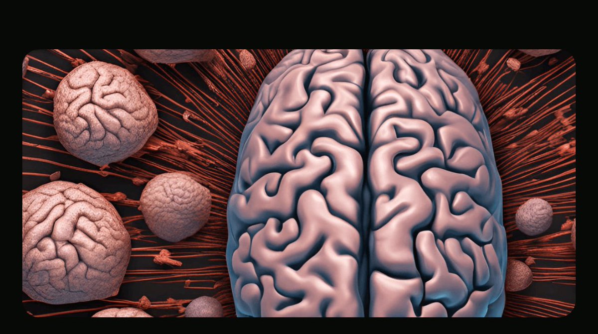 Nicotinic receptors agonists are drugs that mimics the effects of acetylcholine by binding to nicotinic acetylcholine receptors. These receptors are found in various parts of the body such as the central nervous system and neuromuscular junction.

Their effects include: