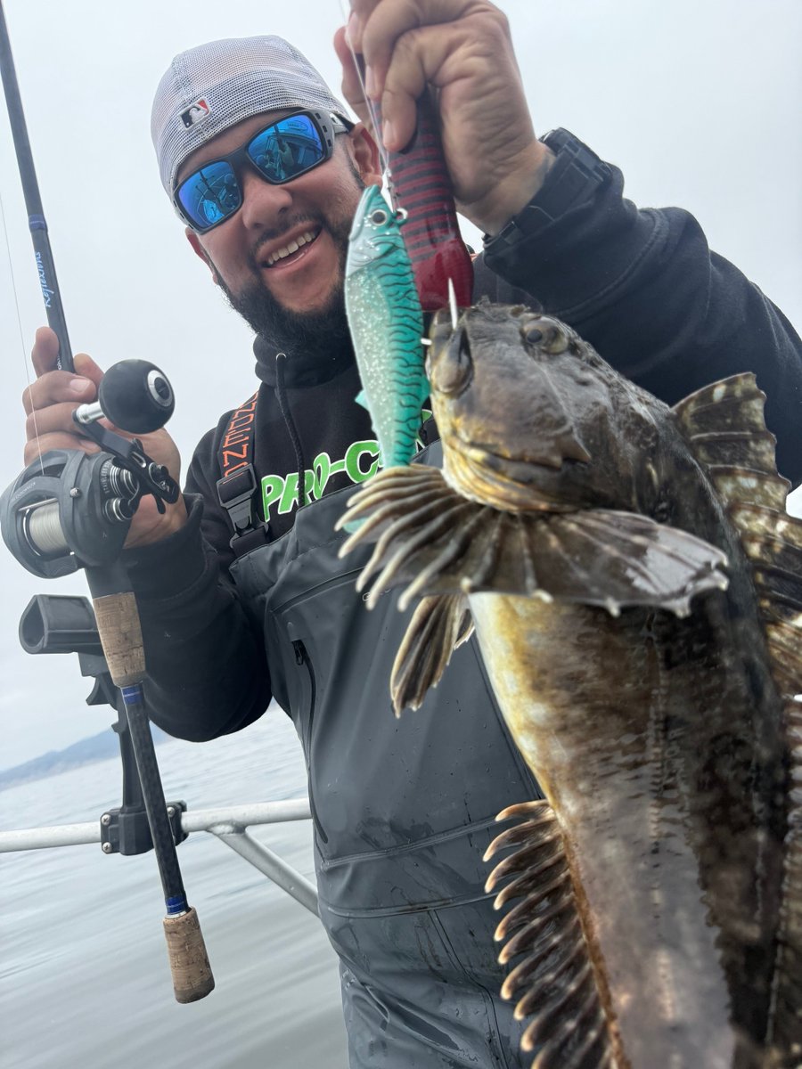 FishLabTackle's tweet image. Capt Steve Gutierrez of Deadliest Kast Sportfishing up in the bay area, getting some deep work in with the FishLab Soft Mack Attack swimbaits.  The 5.5oz green did the trick!

Check out the full Soft Mack Attack lineup at fishlabtackle.com

#FishLab
#SoftMackAttack