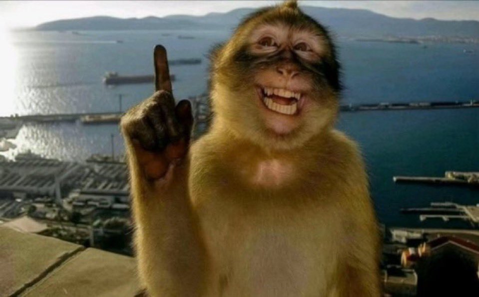 stylishdawg's tweet image. claude immediately before deleting half my codebase to fix a compilation error
