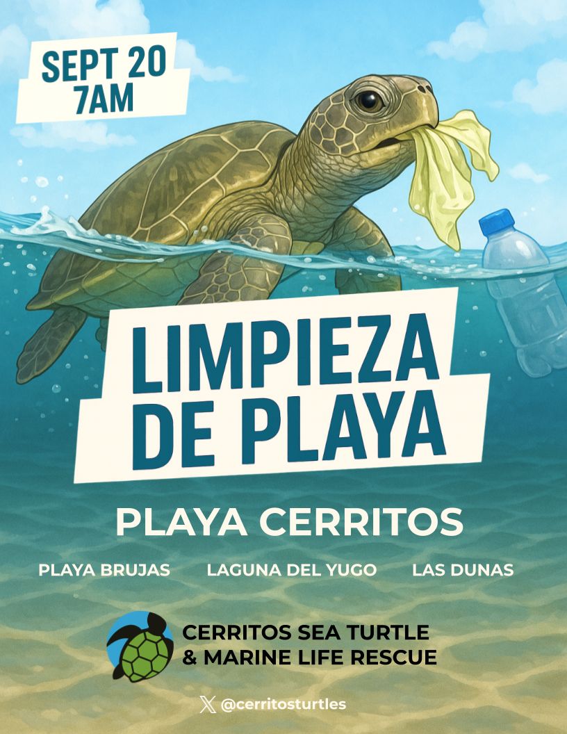 Todos están invitados. Por favor, póngase en contacto para obtener más detalles.