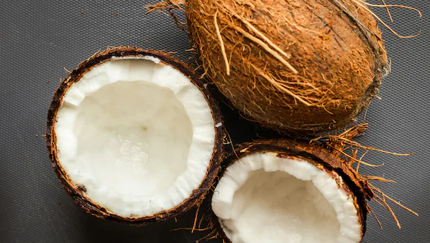 NDTVFood's tweet image. World Coconut Day 2025: 5 Ways Coconuts Can Transform Your Health And Wellness
food.ndtv.com/food-drinks/wo…
#worldcoconutday #coconuts #benefits