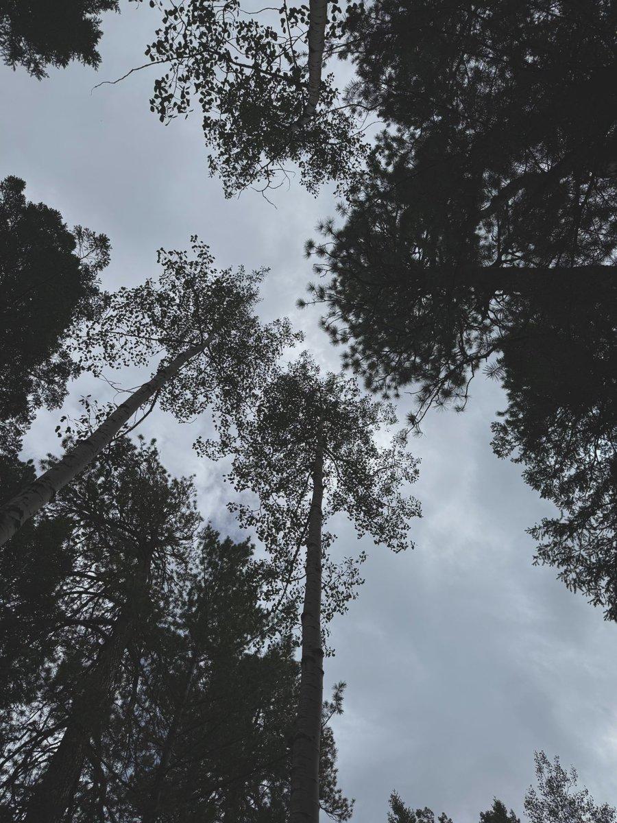 dardarbinks24⚡️ tweet media