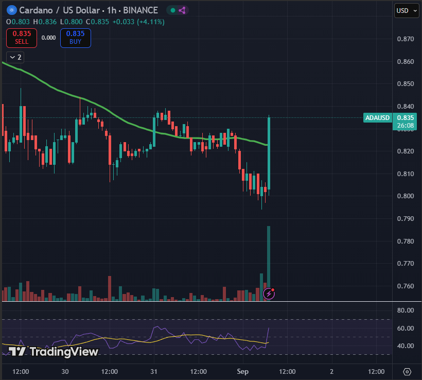 Cardano $ADA pump hard yesterday but lost steam a bit.

More pump incoming 📈📈