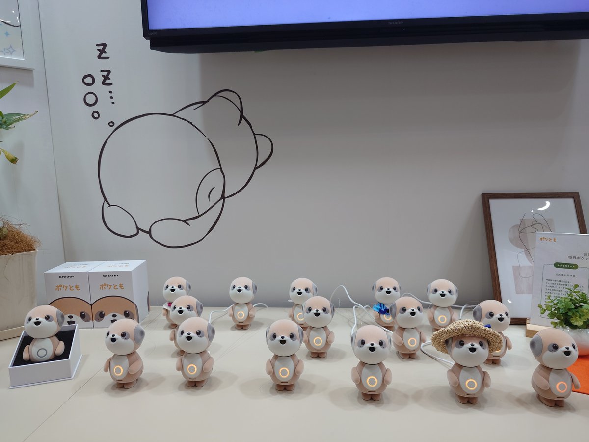 身長はロボホン19cmに対し、ポケとも（ミーア）12cm。並べると想像より小さめな感覚。
充電はUSB-C、充電台は２枚目のように足としっぽが嵌る形状。ちなみに本体の底面、足・しっぽ間の凹部に電源ボタンがあります。
（写真撮り忘れ。偶発的に押されづらい設計で良さげ）
#ポケとも #ロボホン #SHARP