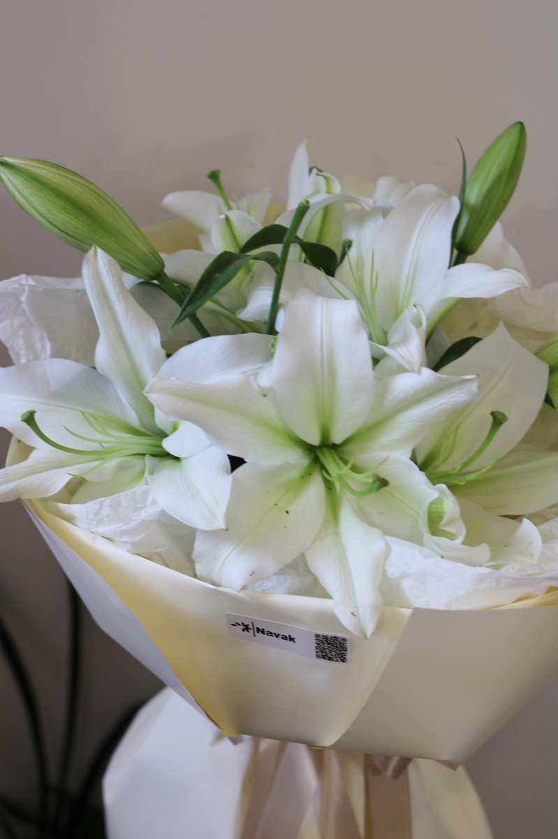 Mother of flowers; The lily! 🧚🏻
A quiet symbol of purity, rebirth, and timeless beauty.