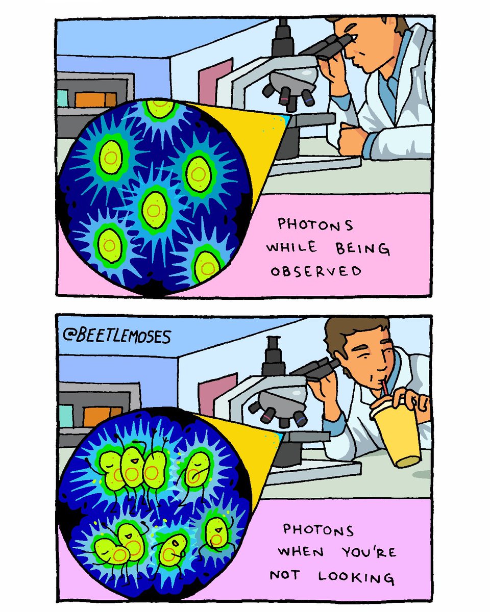 beetlemoses's tweet image. 