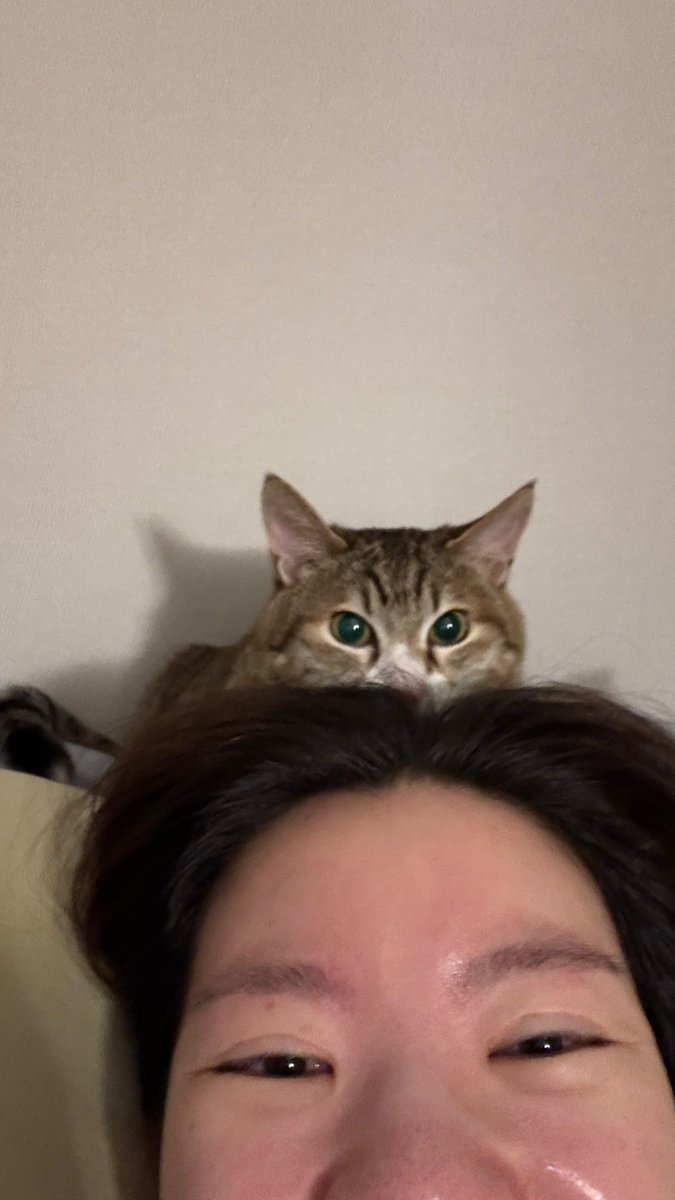 no context hem (@nocontexthem) on Twitter photo 