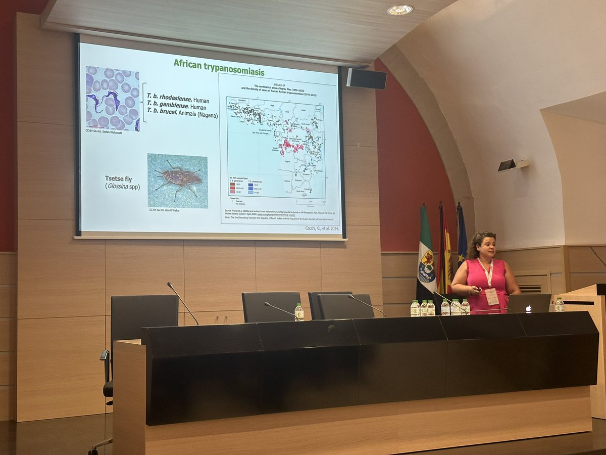 <a href="/unicomplutense/">Complutense</a> <a href="/Univcordoba/">Universidad Córdoba</a> Development of a nanobody-guided drug carrier against Trypanosoma brucei por Inmaculada Ramírez Macías #47congresoSEBBM