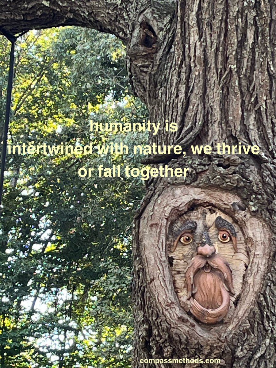 wilson_hurley's tweet image. Taking care of the environment is an essential part of taking care of ourselves, compassmethods.com. youtube.com/@compassionsco… #interdependence